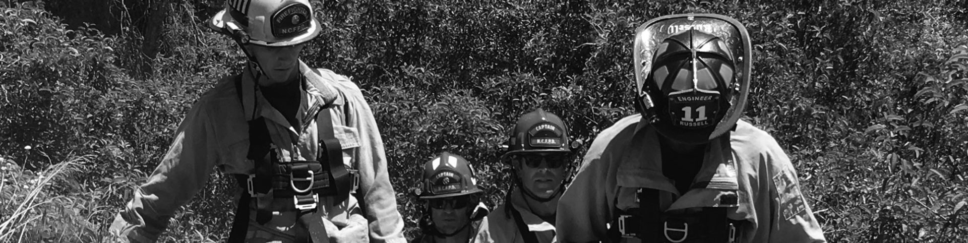 four firefighters walk through bushy hills